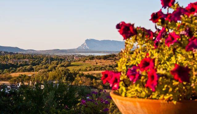 Vista-panoramica-su-Tavolara