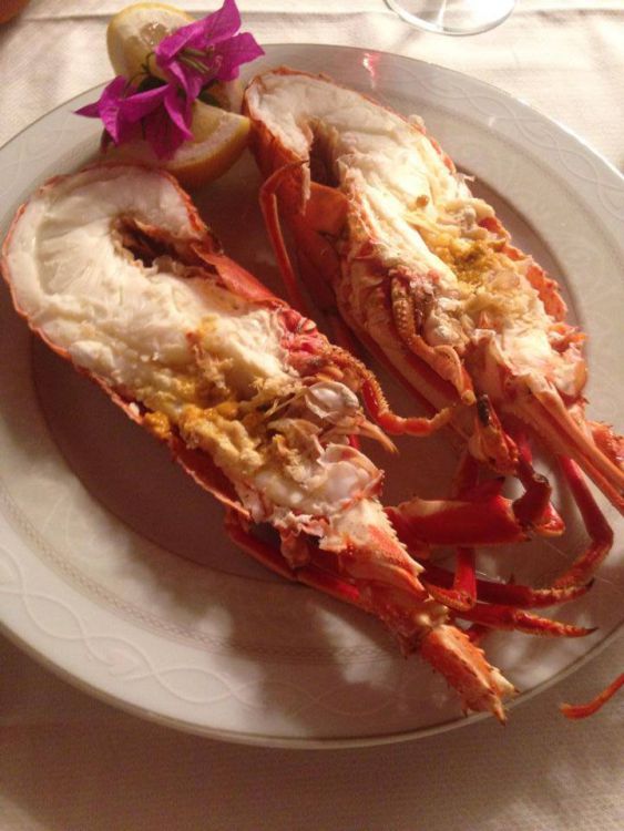 Buon-appetito