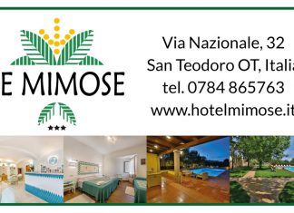 Hotel Le Mimose ***